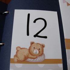 numar masa cu ursulet