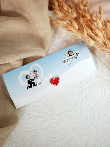 detaliu plan departat