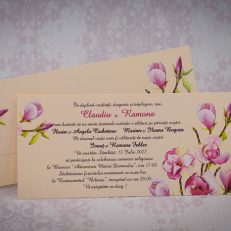 detaliu carton text si suport