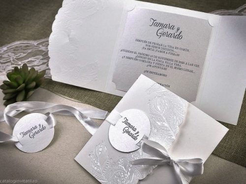 detaliu plan departat