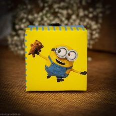 detaliu cutie asamblata