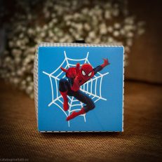 Invitatie cutie omul paianjen 131