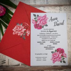 detaliu plan departat invitatie si plic 22447