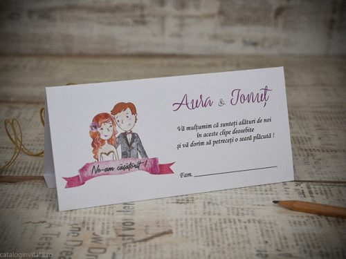 detaliu plic bani 222512 plan departat