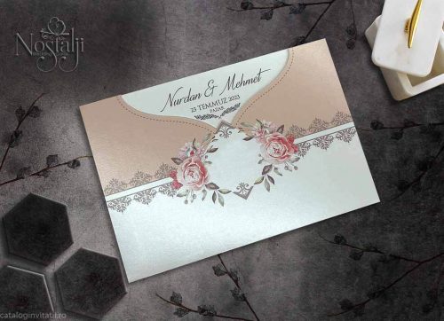 detaliu plan departat 9048