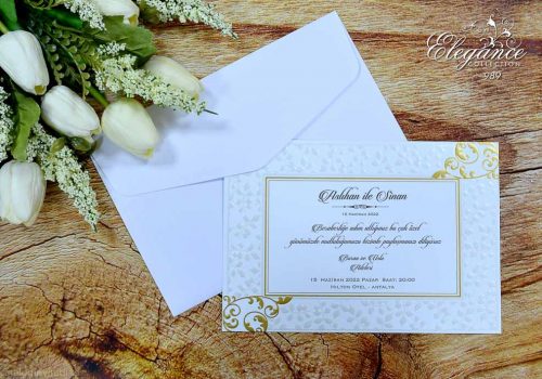 detaliu plan departat invitatie 989