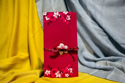 detaliu plan departat 