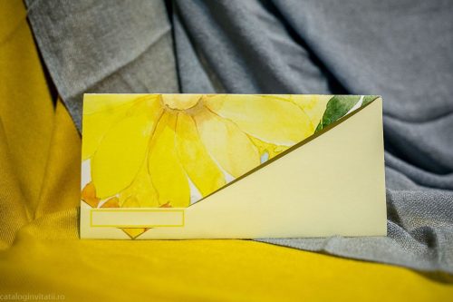 detaliu plan departat 