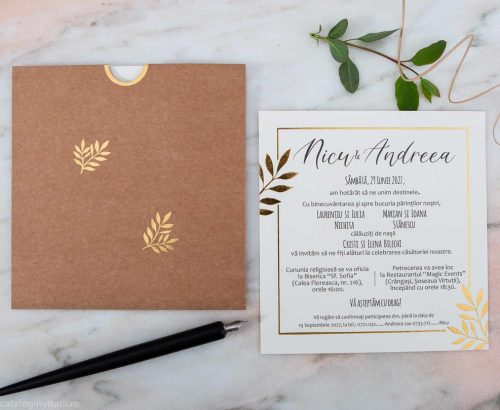 detaliu carton text si plic teaca