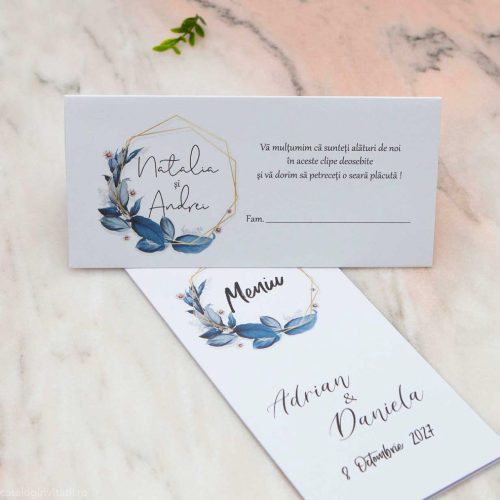 vedere frontala plic plus meniu asortat