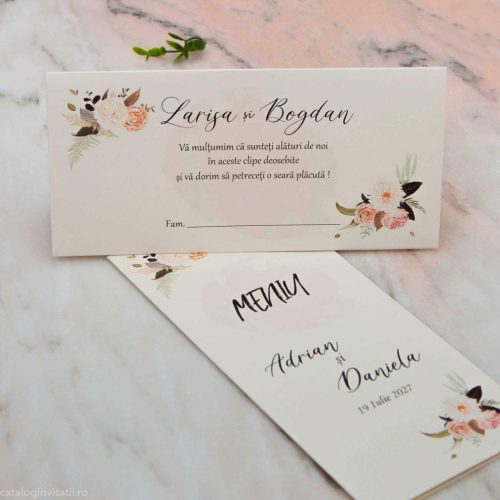 detaliu vedere frontala si meniu asortat