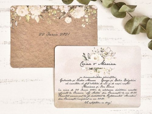 detaliu plan departat 