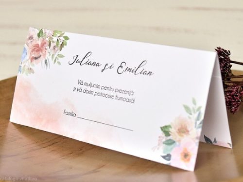 detaliu plic vedere laterala