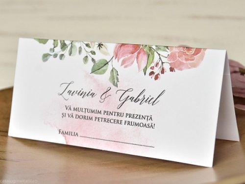 detaliu vedere laterala