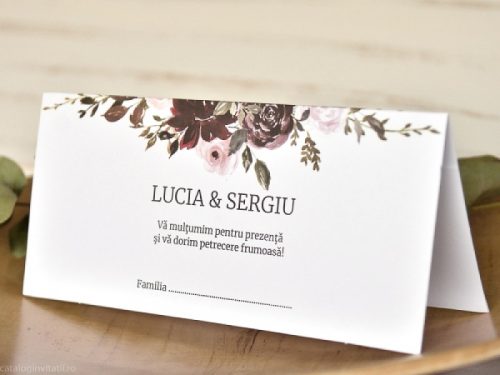 vedere laterala plic bani