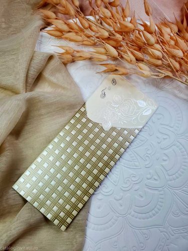 detaliu plan departat