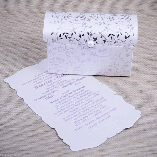 detaliu plan departat cufar si papirus